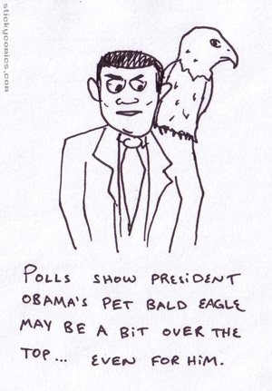 barack eagle