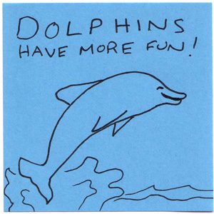 dolphins have more fun!