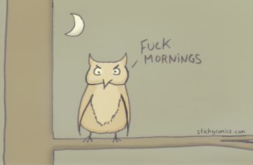 I partied all night with this awesome owl. Fuck mornings.