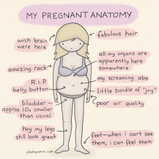 Pregnant Women Diagram 111