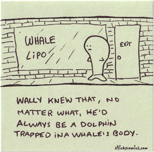 wally the whale gets lipo